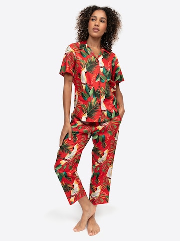 Cyberjammies Pyjamabroek ' Tara ' in Rood: voorkant
