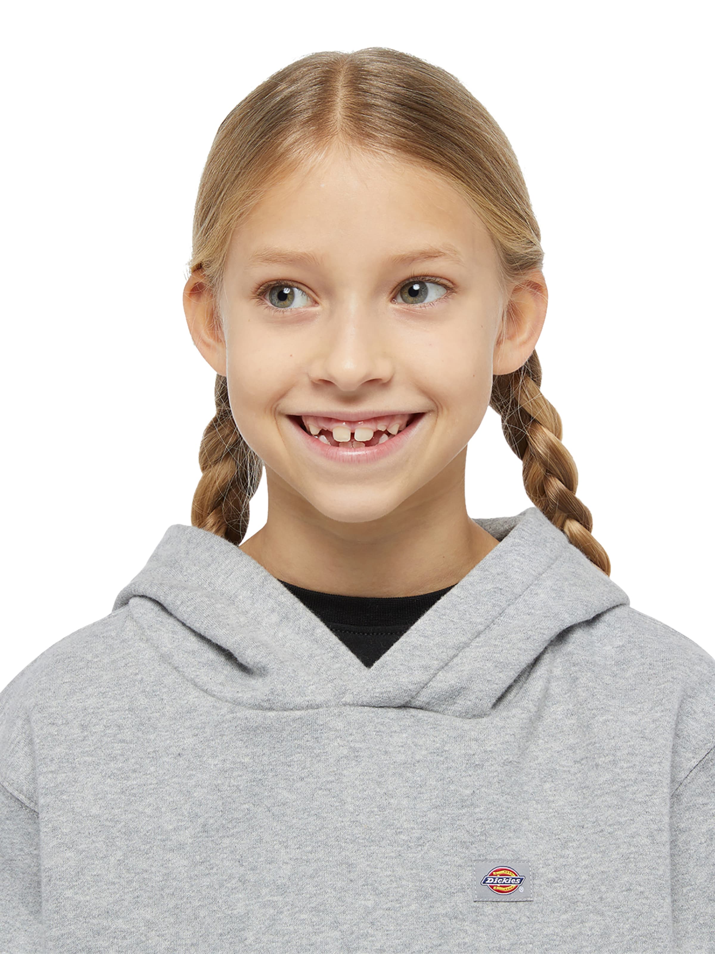 DICKIES - Sudadera 'Youth Oakport' en gris