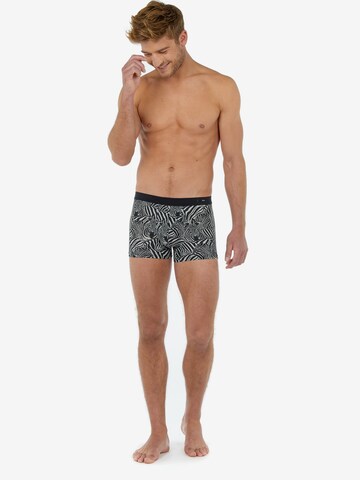 HOM Comfort Boxer Briefs ' Marty ' in Schwarz