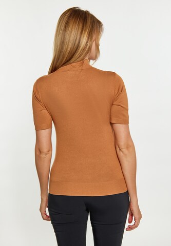 usha BLACK LABEL Sweater in Brown