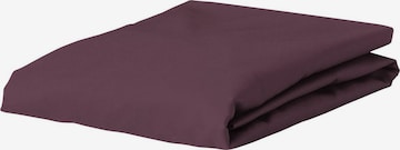 ESSENZA Bed Sheet in Purple: front