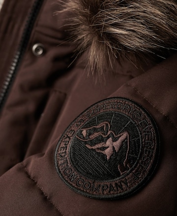 Veste d’hiver Superdry en marron