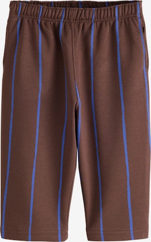 Next Pants in Brown: front