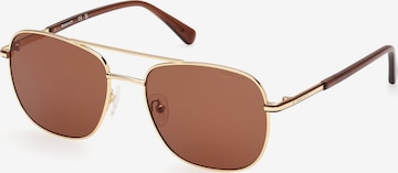 Lunettes de soleil GANT en marron : devant