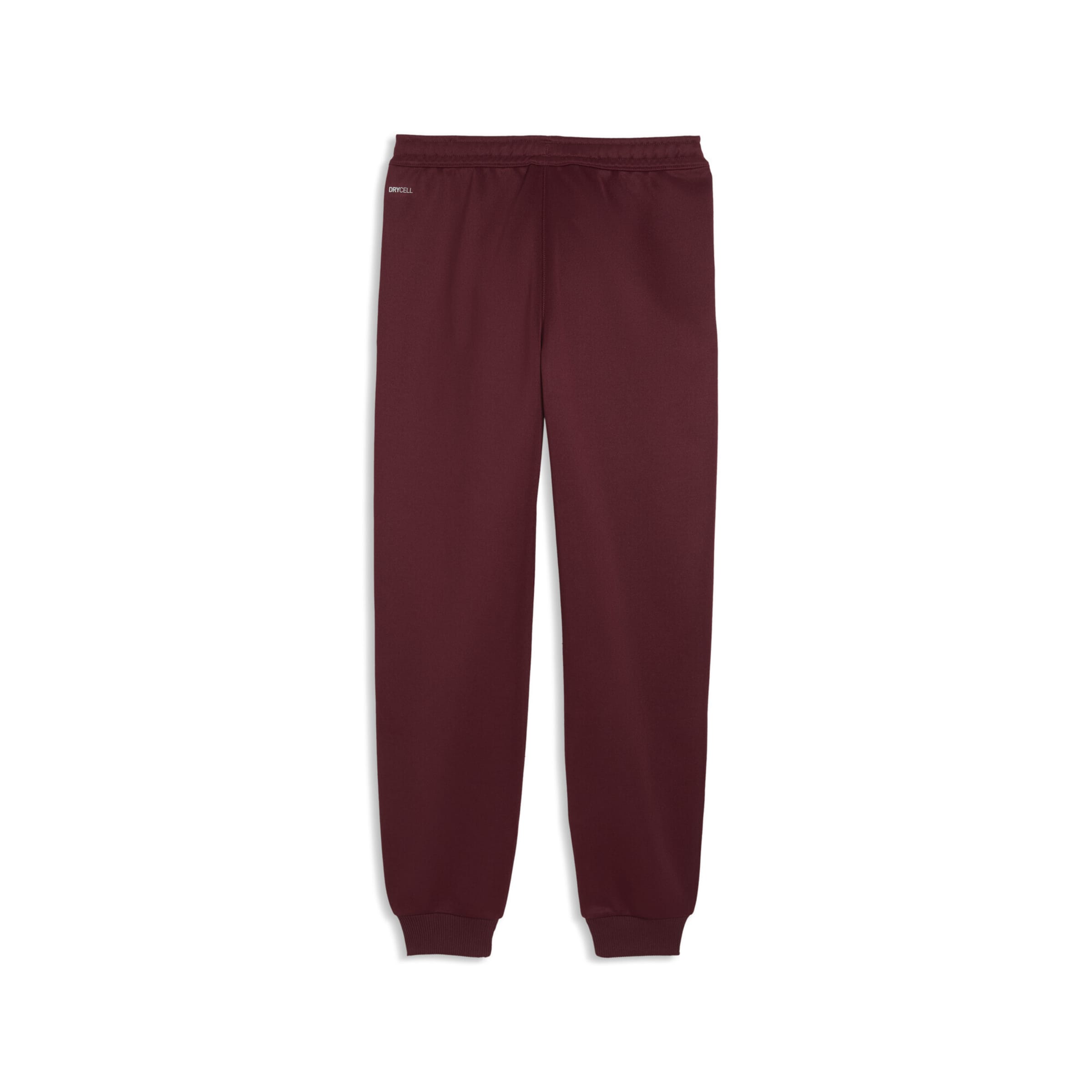 PUMA Tapered Sportbroek 'Portugal KING Anthem' in Rood