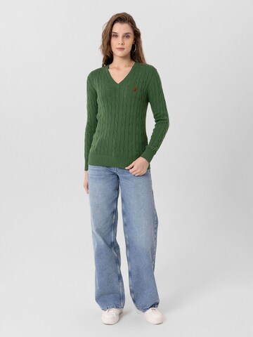 Jacey Quinn Pulover 'Joaquin' | zelena barva