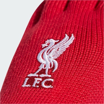 ADIDAS PERFORMANCE Sporthandschoenen 'FC Liverpool' in Rood