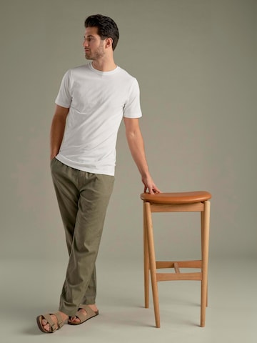 regular Pantaloni ' Cotton ' di TEESHOPPEN in verde