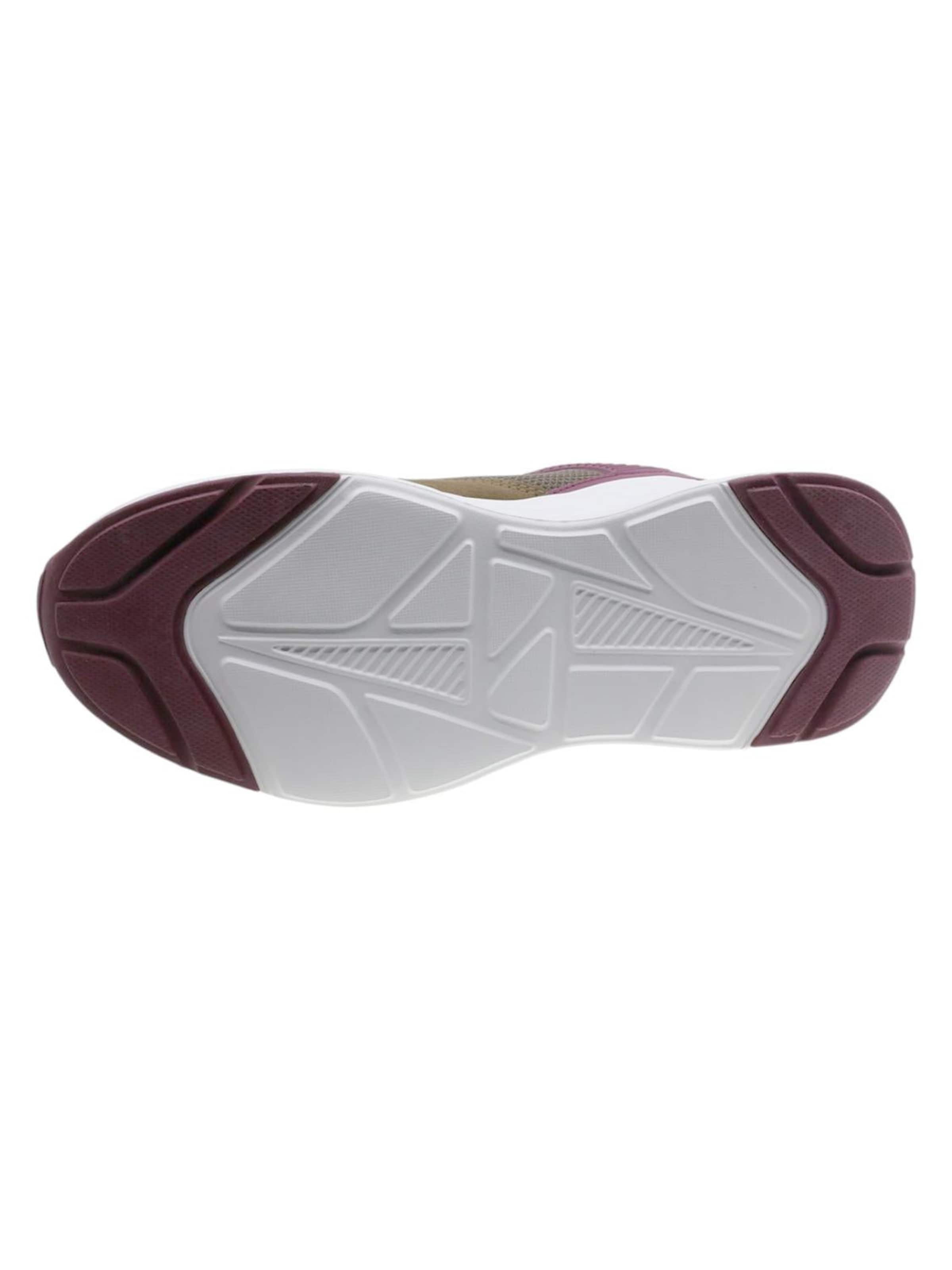Beppi - Zapatillas deportivas bajas 'Casual' en marrón