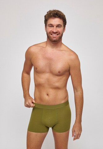 SNOCKS Boxer shorts in Yellow