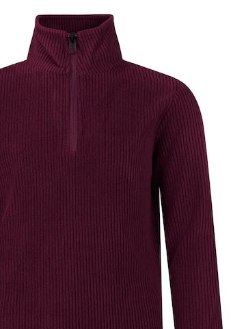 PROTEST Sports sweatshirt 'PRTZORA JR' in Purple