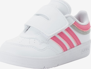 ADIDAS SPORTSWEAR Sneakers in White: front
