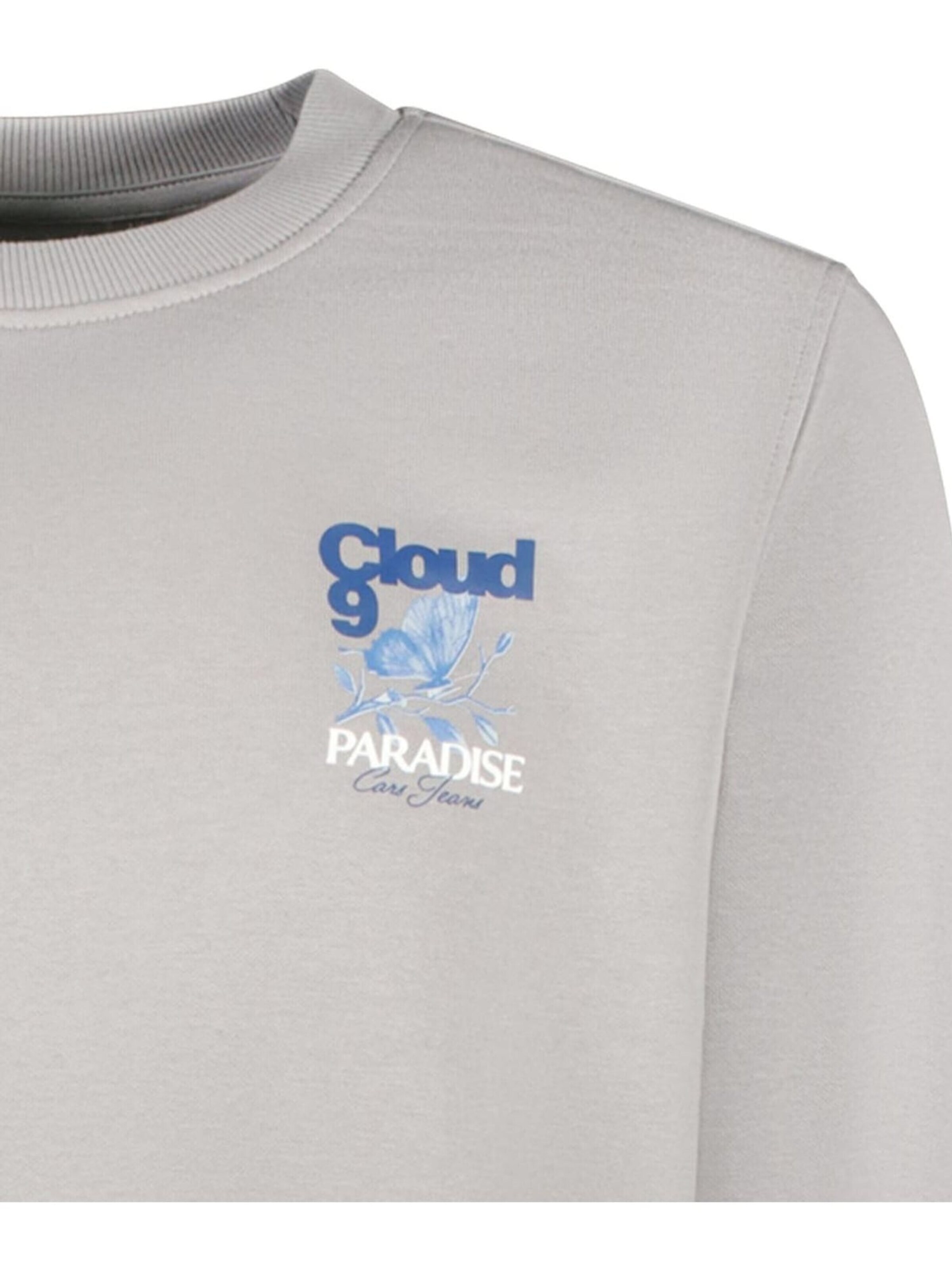 CARS Sweatshirt in Grey