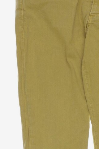 DRYKORN Jeans in 32 in Yellow