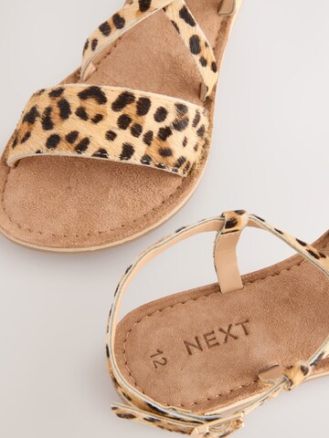Sandales Next en beige