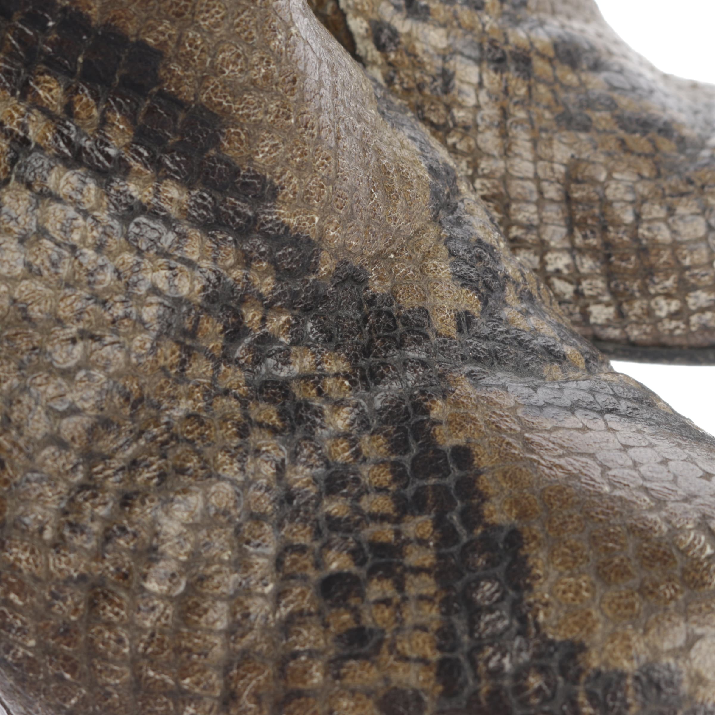 Schumacher Stiefeletten 40 in Mischfarben