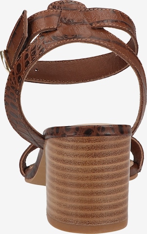 MEXX Sandalen met riem in Bruin