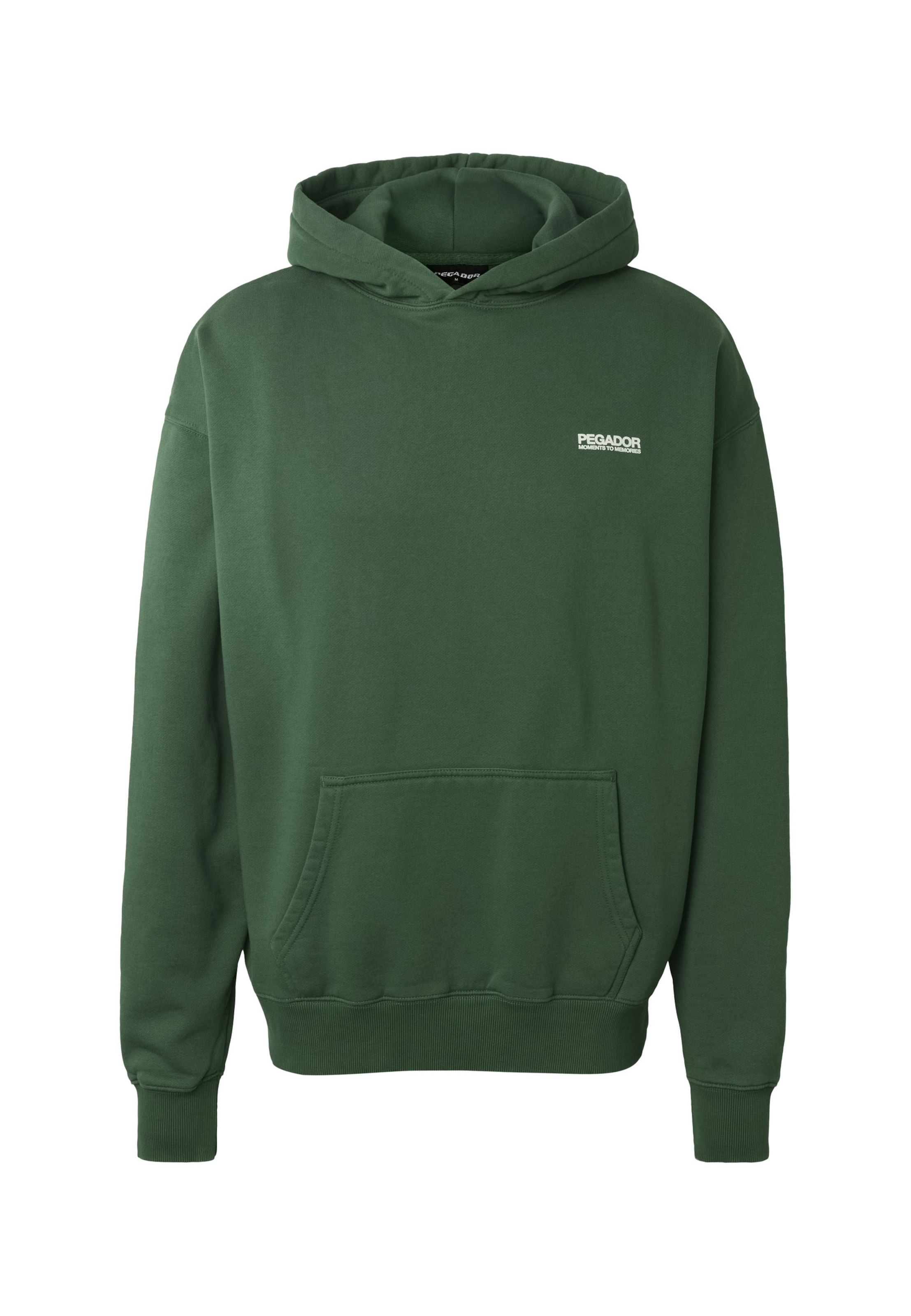 Pegador Sweatshirt 'Hattem' in Groen: voorkant