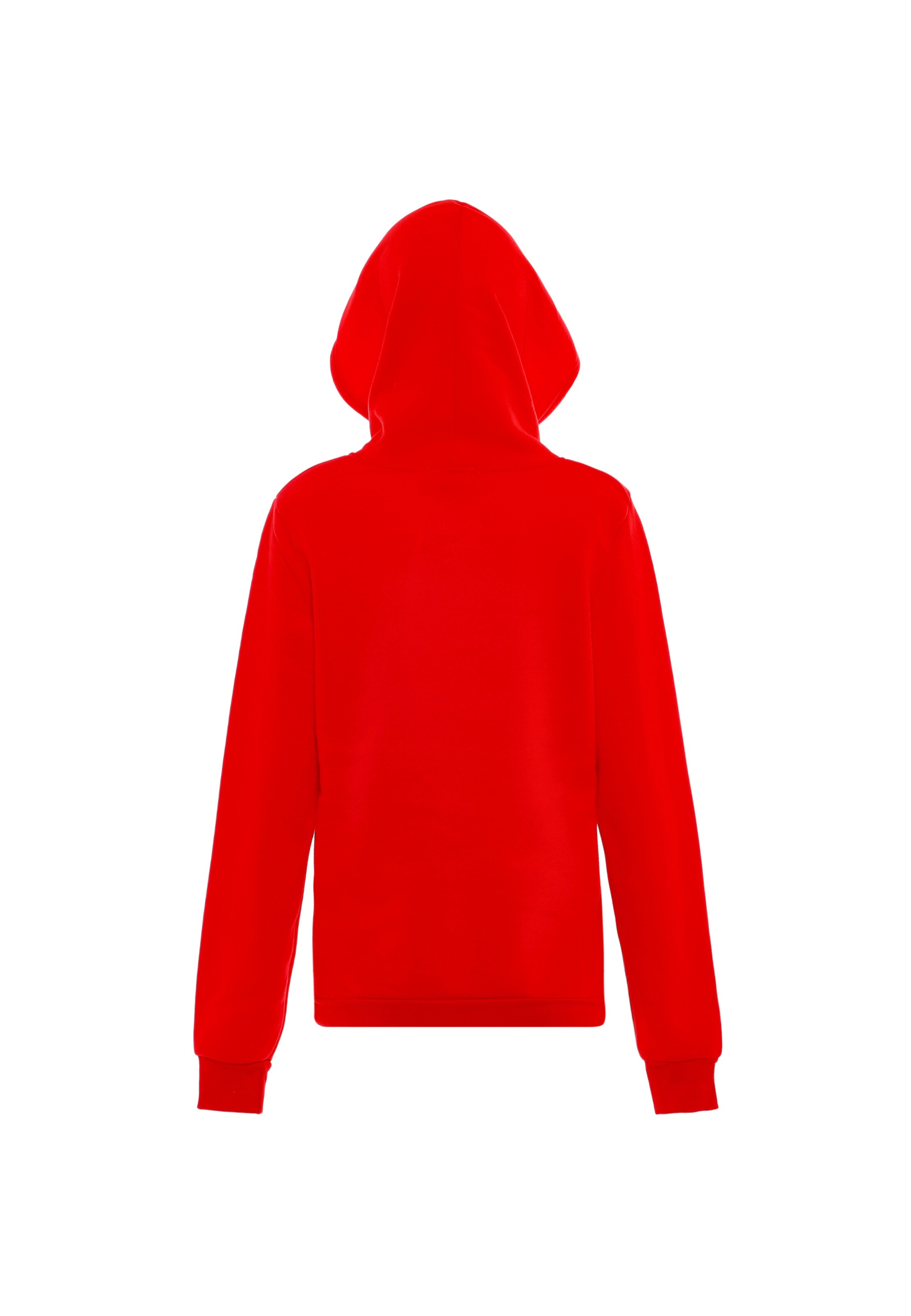 NALLY Sweatshirt in Red
