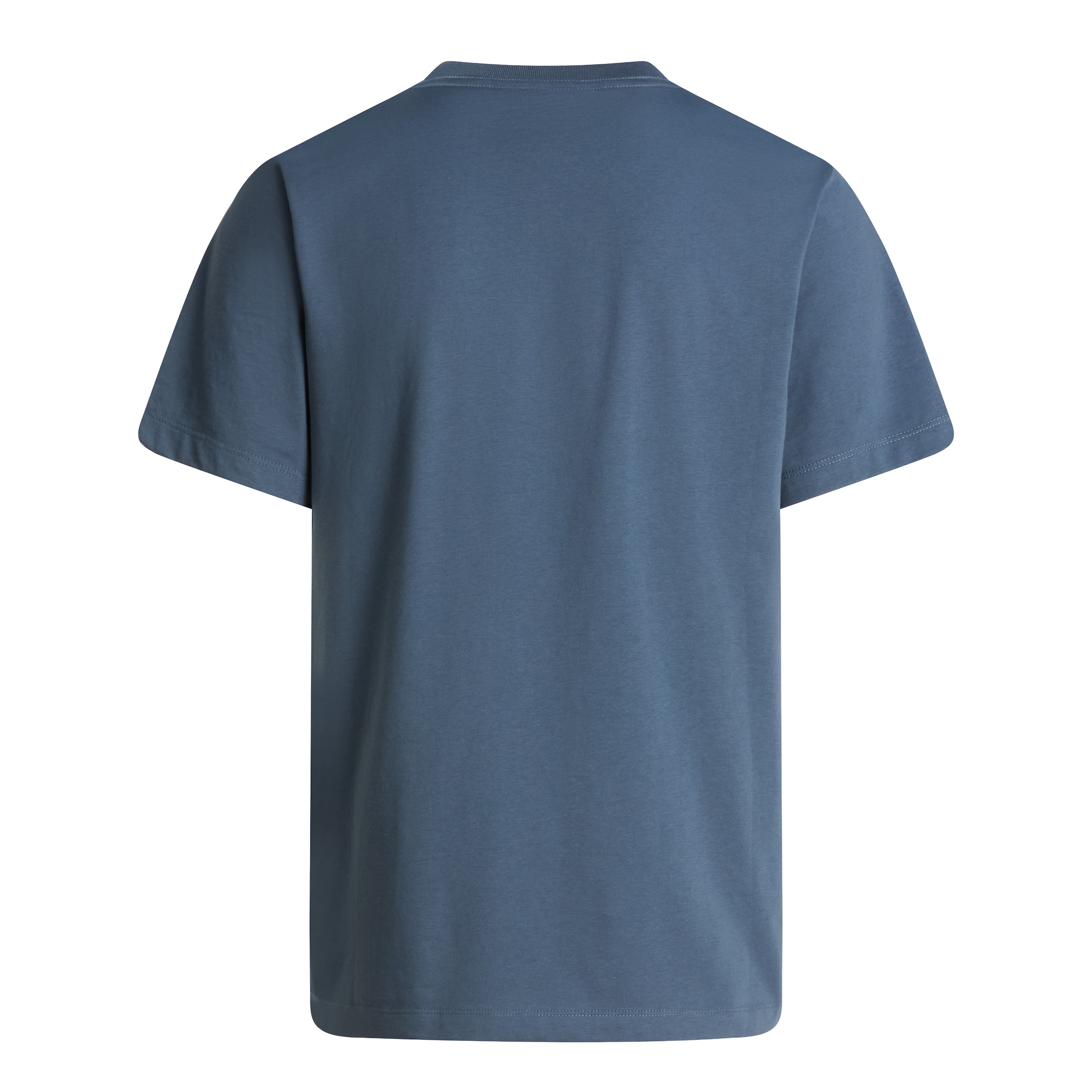 THE NORTH FACE T-Shirt 'Evolution Simple Dome' in Blau