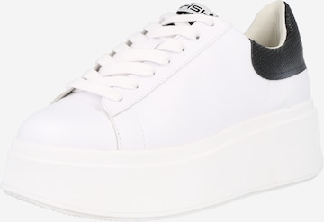 ASH Sneakers 'MOBY' in White: front