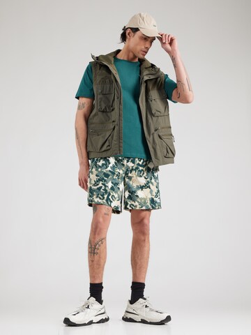 regular Pantaloni per outdoor 'CLASS V PATHFINDER' di THE NORTH FACE in verde