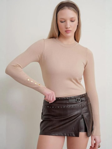 Pull-over MixRay en marron : devant