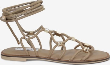 Sandalo 'ZAPPY' di STEVE MADDEN in beige: frontale