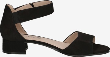 CAPRICE Sandals in Black