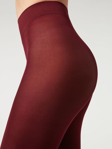 CALZEDONIA Fine Tights in Red: front