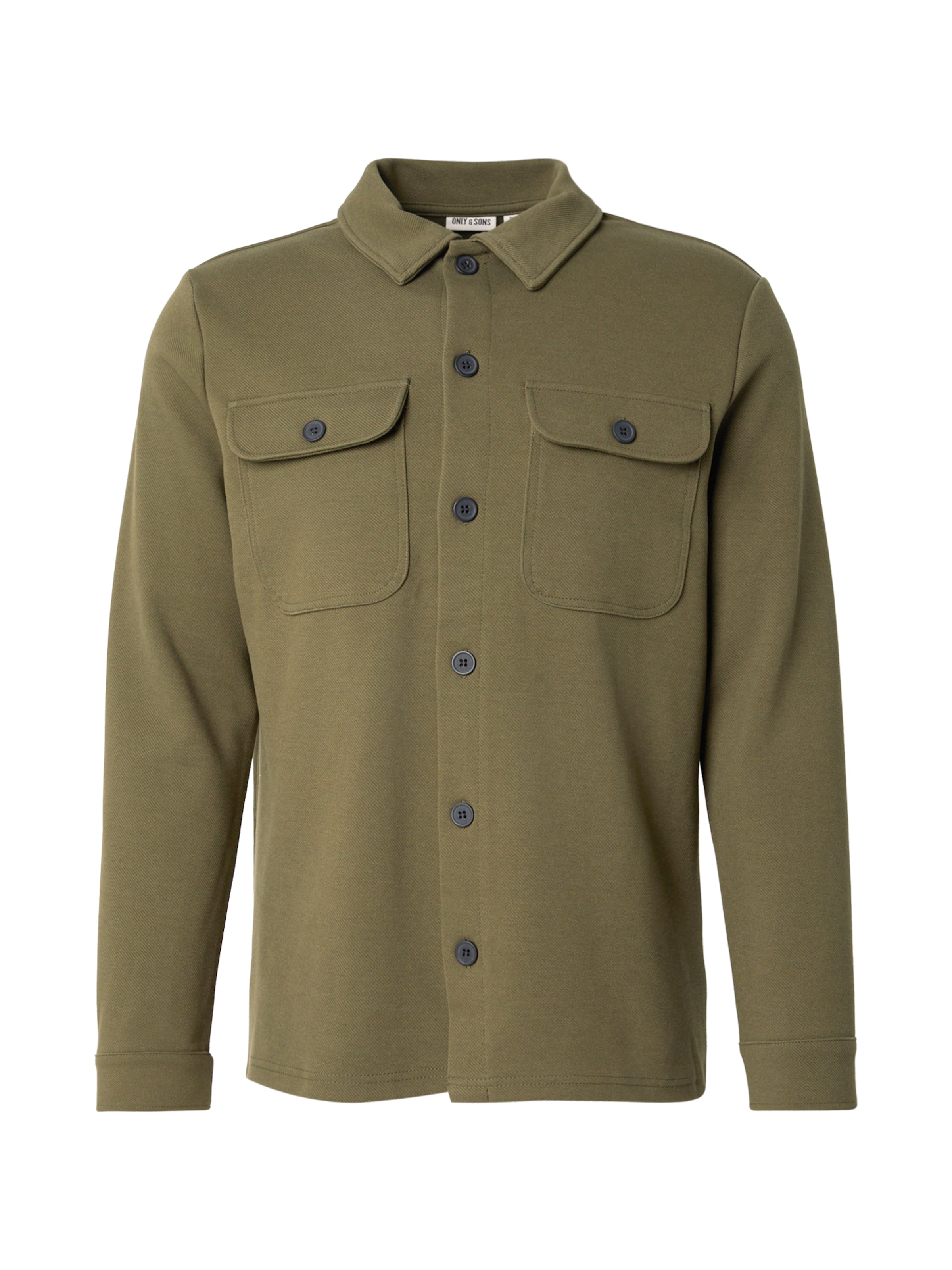 Only & Sons Regular fit Button Up Shirt 'ONSNEWKODYL' in Green: front