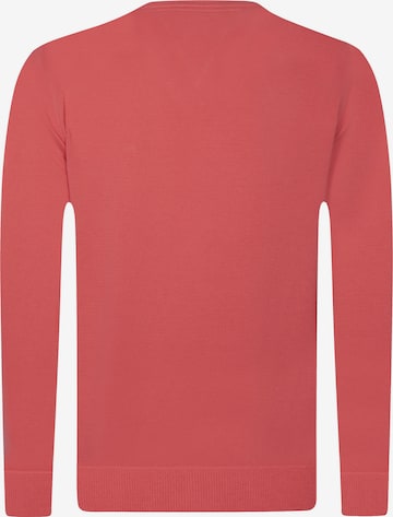 DENIM CULTURE Sweater 'Ottorino' in Red