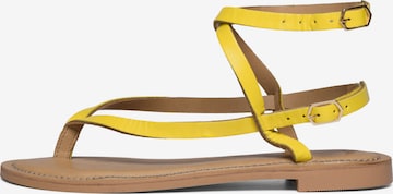 Ivylee Copenhagen Sandals 'Olive ' in Yellow: front