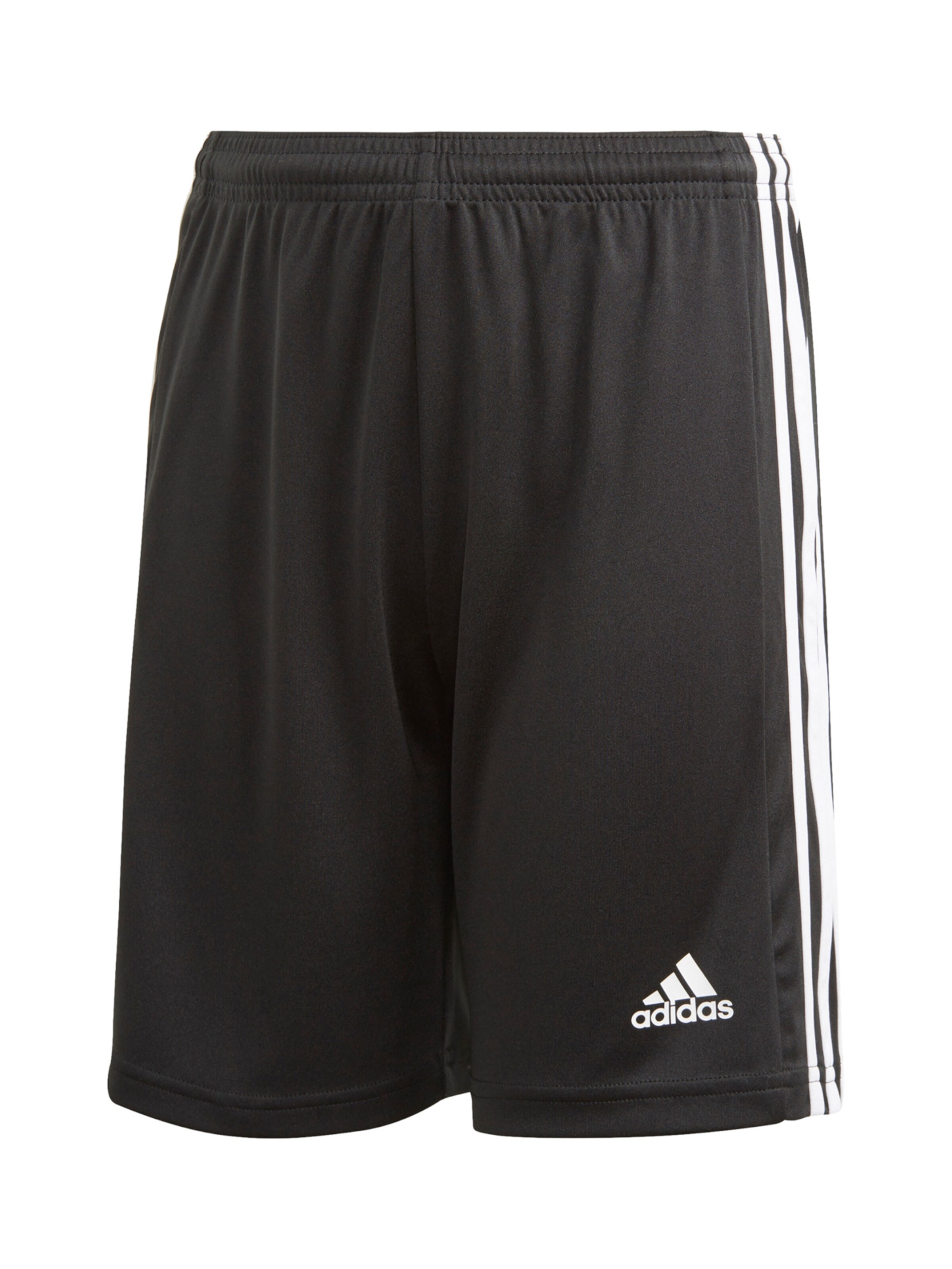 ADIDAS PERFORMANCE Regular Workout Pants 'Squadra 21' in Black: front