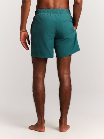 PROTEST Badeshorts 'Faster'‌‌‌ in Grün