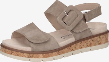 CAPRICE Sandals in Brown: front