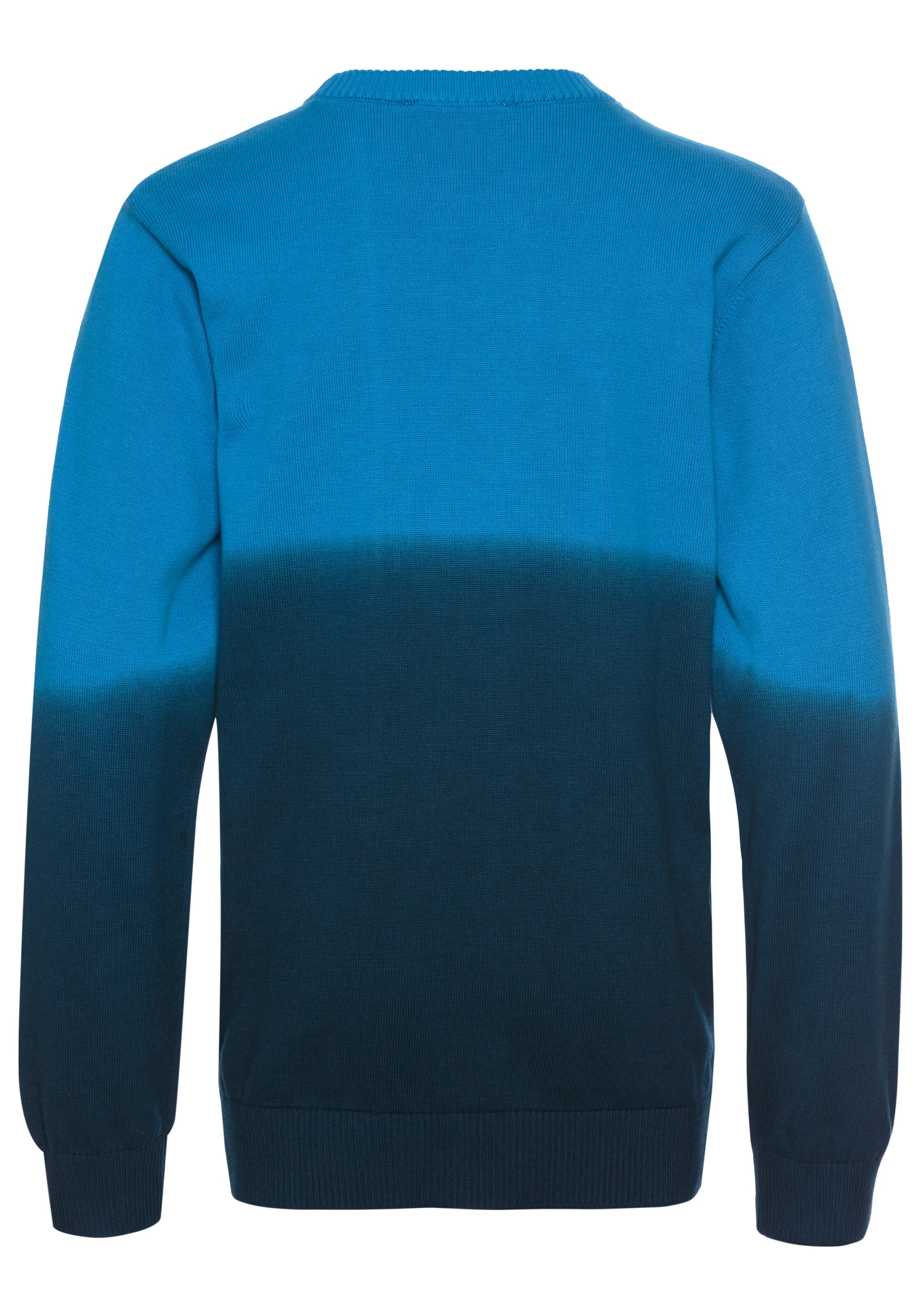 DELMAO Pullover in Blau