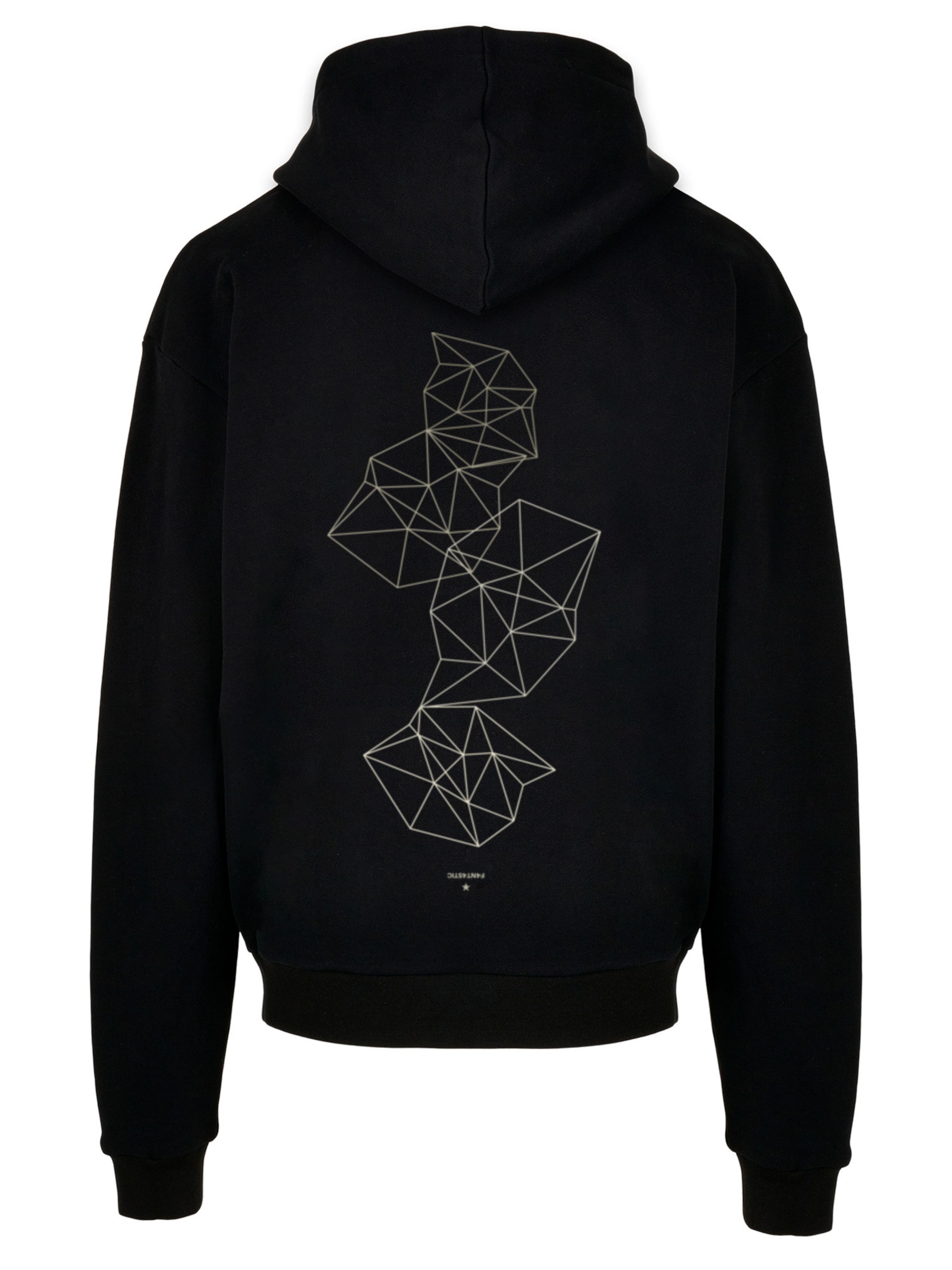 F4NT4STIC Sweatshirt 'Geometrics' in Zwart