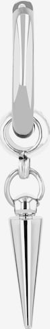 Akzent Earrings 'Mewtwo, langlebig' in Silver: front