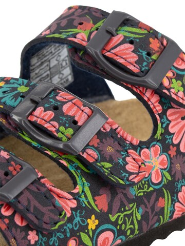 SUPERSOFT by Indigo Mules 'Classic' in Mixed colors