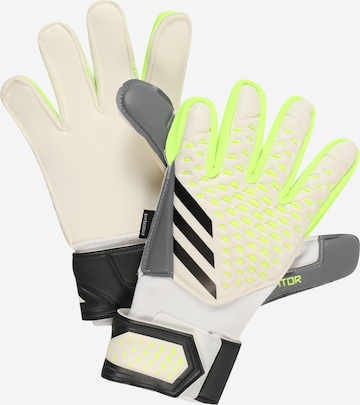 Guanti sportivi 'Predator Match Fingersave Goalkeeper' di ADIDAS PERFORMANCE in bianco: frontale