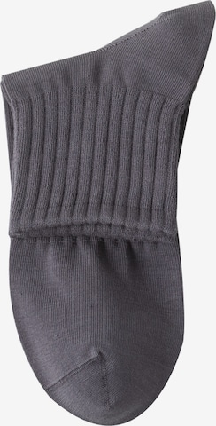 Millo Socken 'Everyday Teens' in Grau: Vorderseite
