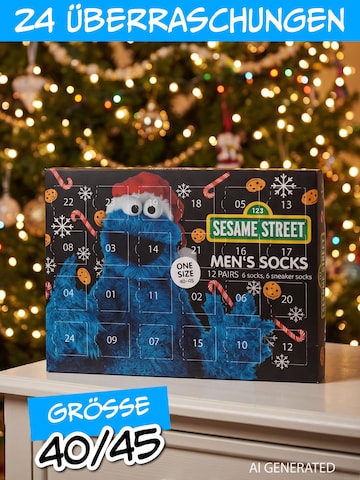 SESAMSTRASSE Socken 'Adventskalender mit 12 Paar'‌‌‌ in Mischfarben