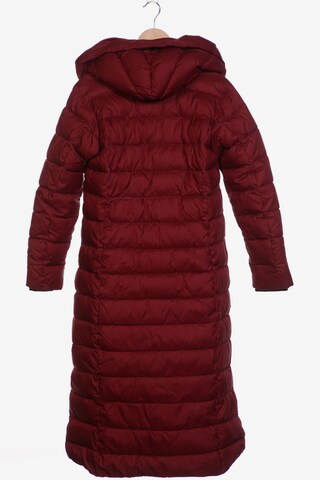 Didriksons Jacket & Coat in S in Red