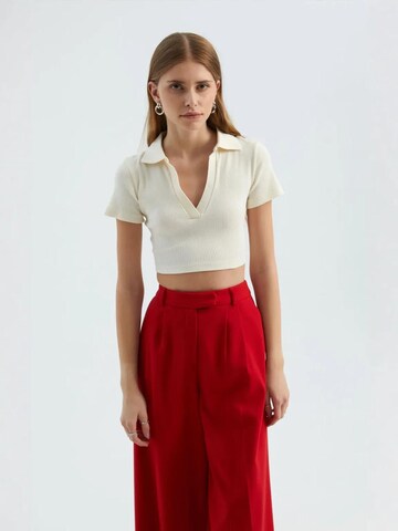 Hiccup Topp 'Crop Top', värv pruun: eest vaates