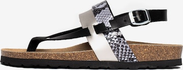 Bayton Sandały z rzemykami 'Lajas' w kolorze czarny: przód