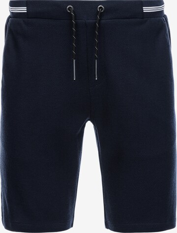 Regular Pantalon 'SRCS-0110' Ombre en bleu : devant