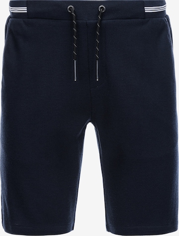 Pantalon 'SRCS-0110' Ombre en bleu : devant