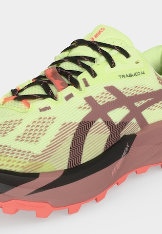ASICS Laufschuh 'Trabuco 14' in Grün