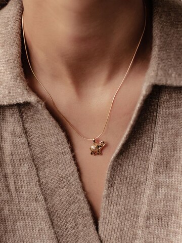 Hey Happiness Ketting 'Success Spirit' in Goud